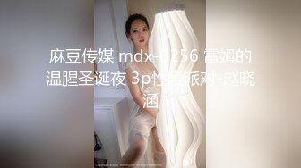 麻豆传媒 mdx-0256 雷姆的温腥圣诞夜 3p性爱派对-赵晓涵