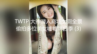 TWTP 大神潜入商场女厕全景偷拍多位美女嘘嘘第四季 (3)