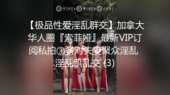 【极品性爱淫乱群交】加拿大华人圈『索菲娅』最新VIP订阅私拍③多对夫妻聚众淫乱 淫乱趴乱交 (3)