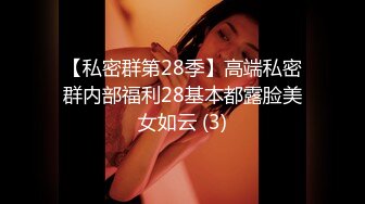 【私密群第28季】高端私密群内部福利28基本都露脸美女如云 (3)