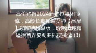 高价购得2024新维拉舞团顶流，高颜长腿翘臀女神【晶晶】加密特超级版，透明情趣露逼搔首弄姿劲曲摇摆挑逗 (3)