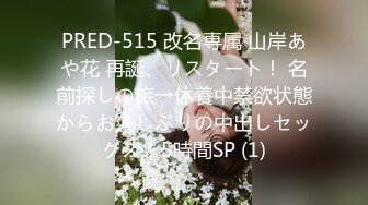 PRED-515 改名専属 山岸あや花 再誕、リスタート！ 名前探しの旅→休養中禁欲状態からお久しぶりの中出しセックス！5時間SP (1)