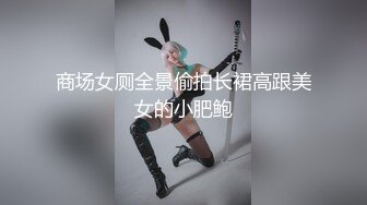 商场女厕全景偷拍长裙高跟美女的小肥鲍