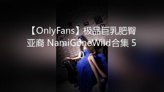 【OnlyFans】极品巨乳肥臀亚裔 NamiGoneWild合集 50