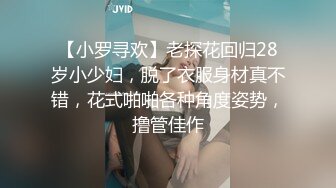 【小罗寻欢】老探花回归28岁小少妇，脱了衣服身材真不错，花式啪啪各种角度姿势，撸管佳作