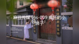 麻豆传媒 vns-009 疯狂的小姨子