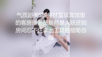 气质超美S型身材星级宾馆里的客房服务员居然是人妖进到房间忍不住拿出工具抽插菊自嗨