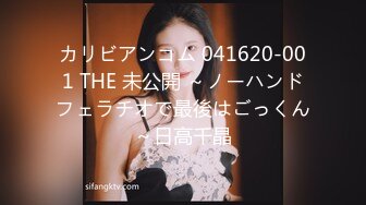 カリビアンコム 041620-001 THE 未公開 ～ノーハンドフェラチオで最後はごっくん～日高千晶