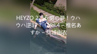 HEYZO 2256 男の夢！ウハウハ逆3P！！Vol.4 – 椎名あすか – 新城由衣