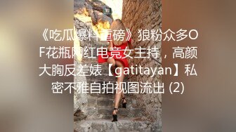 《吃瓜爆料重磅》狼粉众多OF花瓶网红电竞女主持，高颜大胸反差婊【gatitayan】私密不雅自拍视图流出 (2)