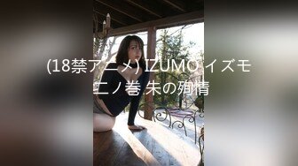 (18禁アニメ) IZUMO イズモ 二ノ巻 朱の殉情