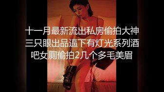 十一月最新流出私房偷拍大神三只眼出品逼下有灯光系列酒吧女厕偷拍2几个多毛美眉