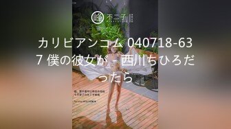 カリビアンコム 040718-637 僕の彼女が - 西川ちひろだったら