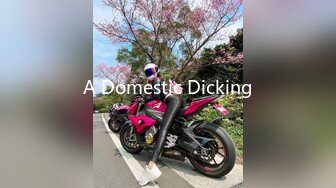 A Domestic Dicking