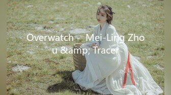 Overwatch -  Mei-Ling Zhou &amp; Tracer