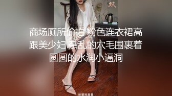 商场厕所偷拍 粉色连衣裙高跟美少妇 杂乱的穴毛围裹着圆圆的水润小逼洞