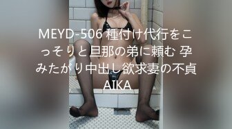 MEYD-506 種付け代行をこっそりと旦那の弟に頼む 孕みたがり中出し欲求妻の不貞 AIKA