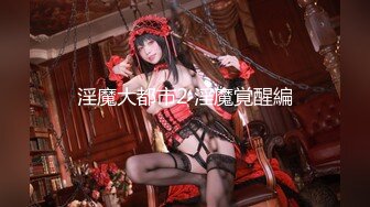 淫魔大都市2 淫魔覚醒編