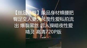 【丝足桃臀】极品身材蜂腰肥臀足交人妻大尺度性爱私拍流出 爆裂黑丝 后入操暗夜性爱精灵 高清720P版