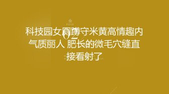 科技园女厕蹲守米黄高情趣内气质丽人 肥长的微毛穴缝直接看射了