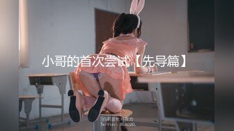 小哥的首次尝试【先导篇】