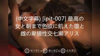 (中文字幕) [ipit-007] 最高の女と朝まで色欲に飢えた雄と雌の卑猥性交七瀬アリス