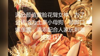 满分颜值露脸花臂女神，为了金钱沦为土豪小母狗，舔脚口爆车震，乖乖配合人家玩刺激性爱 (1)