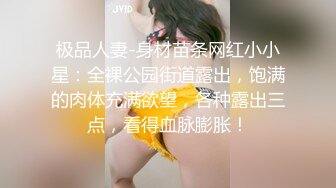 极品人妻-身材苗条网红小小星：全裸公园街道露出，饱满的肉体充满欲望，各种露出三点，看得血脉膨胀！