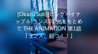 [Okazu.Sub][ピンクパイナップル]ランス01 光をもとめて THE ANIMATION 第1話「ランス、起つ！！」