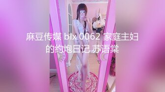 麻豆传媒 blx 0062 家庭主妇的约炮日记 苏语棠