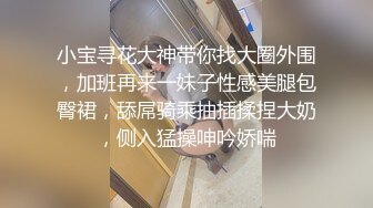 小宝寻花大神带你找大圈外围，加班再来一妹子性感美腿包臀裙，舔屌骑乘抽插揉捏大奶，侧入猛操呻吟娇喘