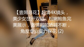 【壹屌寻花】超清4K镜头，美少女岔开双腿，粉嫩鲍鱼完美展示，激情啪啪娇喘不断，角度专业实力探花 (2)