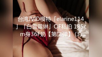 台湾JVID模特「elarine114」「白雪蘿綝」OF私拍 185cm身36F奶【第二弹】 (3)