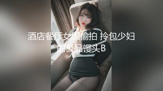 酒店餐厅女厕偷拍 拎包少妇的极品馒头B