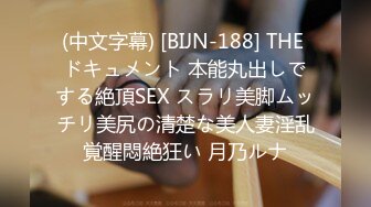 (中文字幕) [BIJN-188] THE ドキュメント 本能丸出しでする絶頂SEX スラリ美脚ムッチリ美尻の清楚な美人妻淫乱覚醒悶絶狂い 月乃ルナ