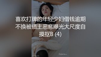 喜欢打牌的年轻少妇借钱逾期不换被债主恶意曝光大尺度自摸抠B (4)